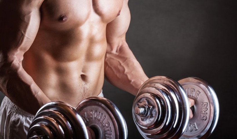 I Dieci Comandamenti di gli steroidi sono lipidi
